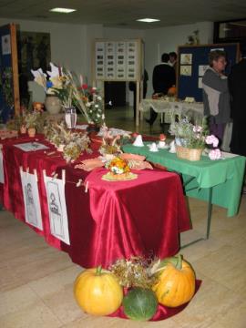 Podelitev priznanj nagrajencem projekta Moja dežela - lepa in gostoljubna 2010 22